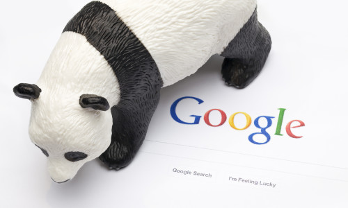 Googe Panda