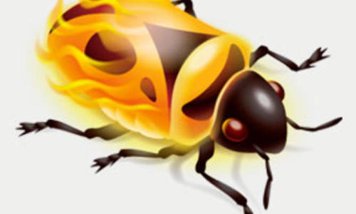 Firebug